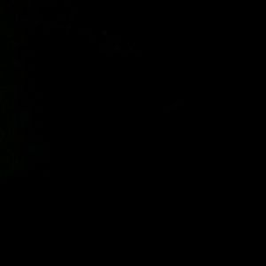 Meet your Posher, Shallon